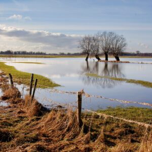 floodplain