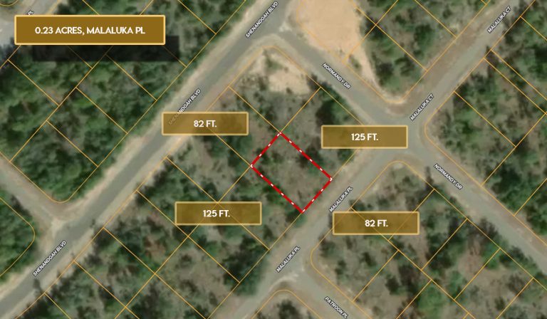 0.23 Acres, Malaluka Pl, Chipley, FL 32428