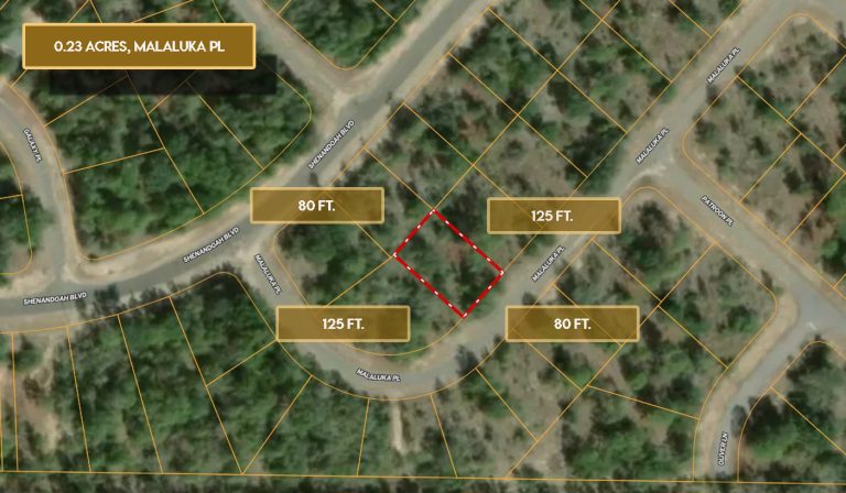 0.23 Acres, Malaluka Pl, Chipley, FL 32428