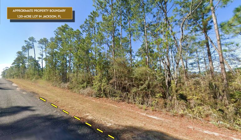 1.20 Acres, Edison Ave, Alford, FL 32420